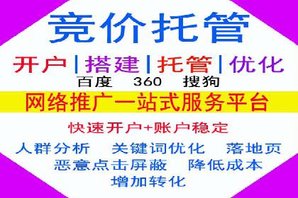 网站SEM托管服务成功案例分享